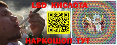 прущие грибы Кунгур