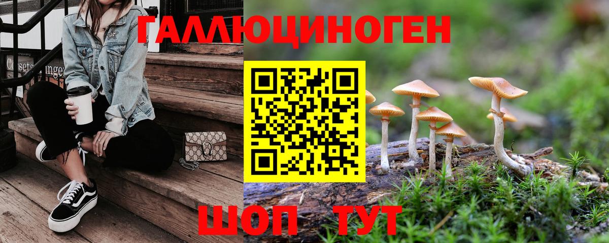 Кириши  Галлюциногенные грибы GOLDEN TEACHER  Вход с VPN  Псилоцибиновые грибы Magic Shrooms 
